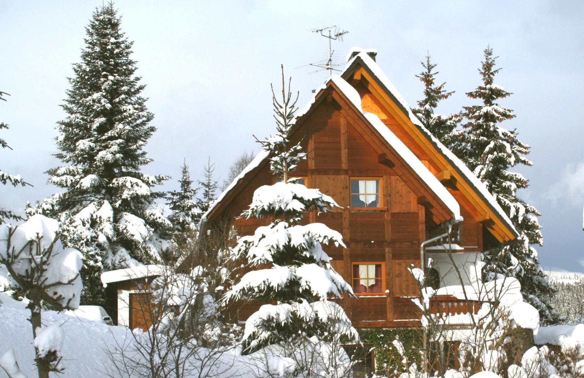 Ferienwohnung Seeblick Nr 5, 2 Zi-Baerental, Feldberg Rotwasser Esterno foto
